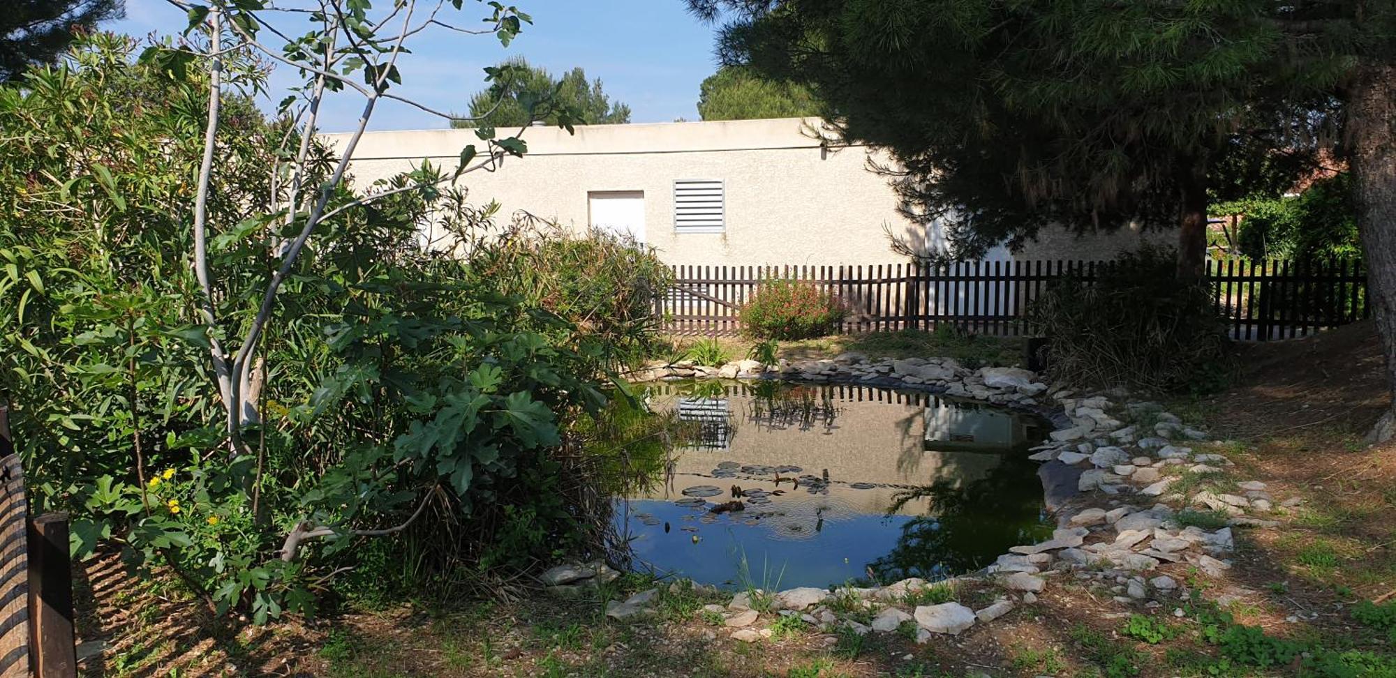 Maison"La Cigale Du Sud" Calvisson Esterno foto